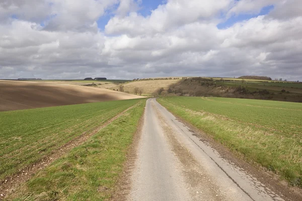 Country road in april — Stock Photo, Image