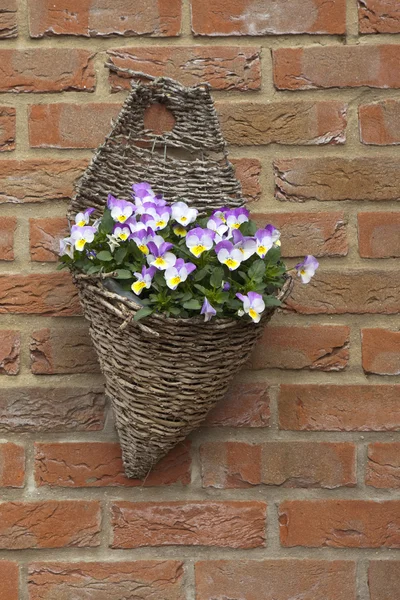 Wicker hanging basket — Stock Photo, Image