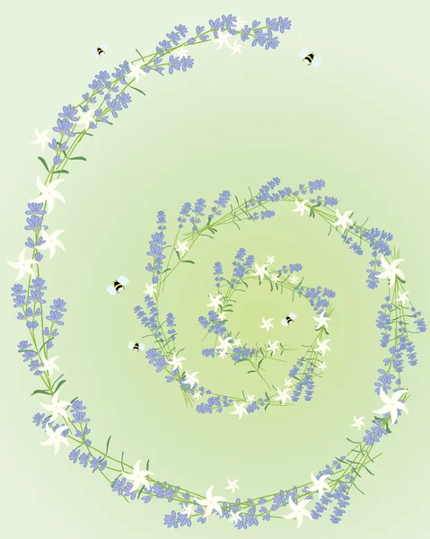 Lavendelspiral — Stock vektor