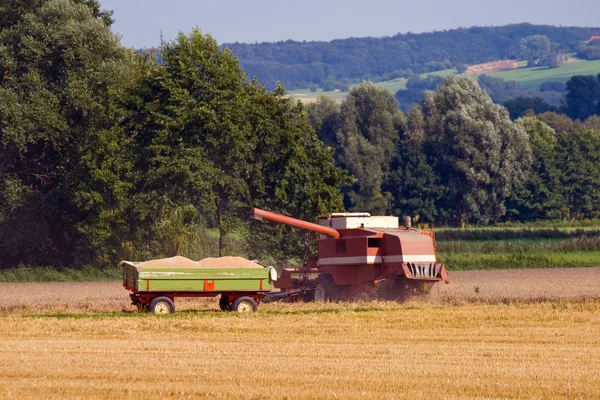 Combinație Recoltare Care Lucrează Câmp Cereale Lângă Remorcă — Fotografie, imagine de stoc