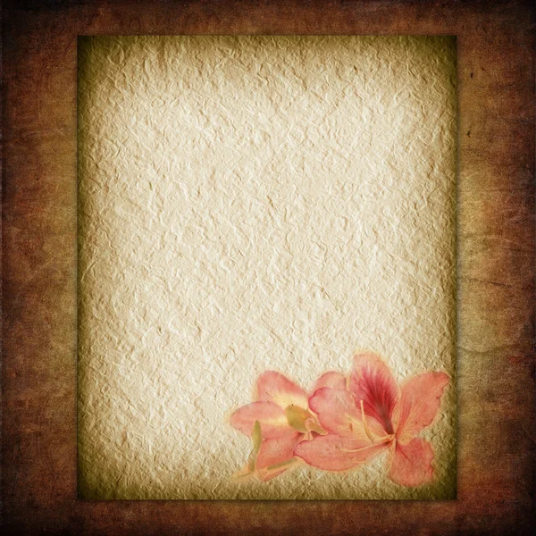 Textural viejo papel de flor —  Fotos de Stock