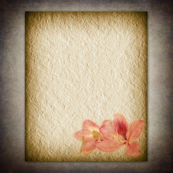 Texturale vieux papier fleur — Photo