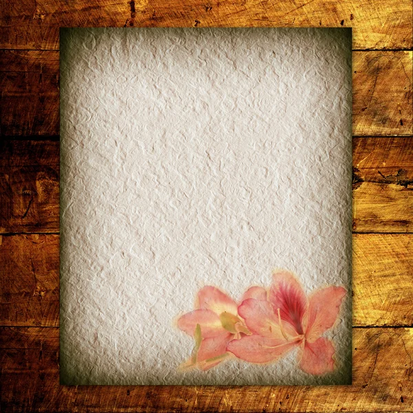 Papel velho textural da flor — Fotografia de Stock