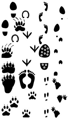 Traces silhouette collection clipart