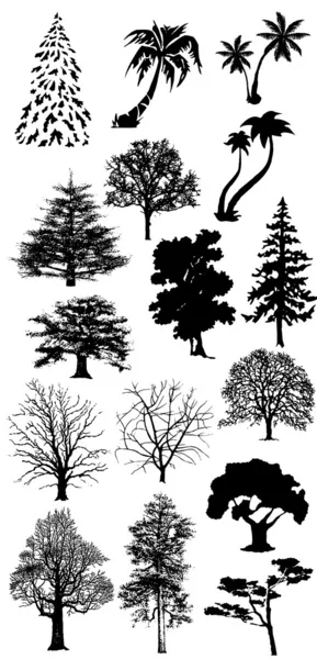 Siluety stromů na bílém — Stock fotografie