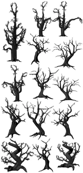 Silhouettes d'arbres vectoriels . — Photo