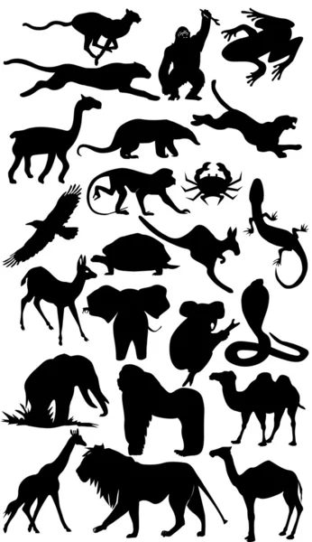 动物非洲剪影 免版税图库图片