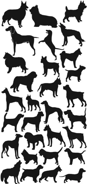 Dog silhouette — Stock Photo, Image