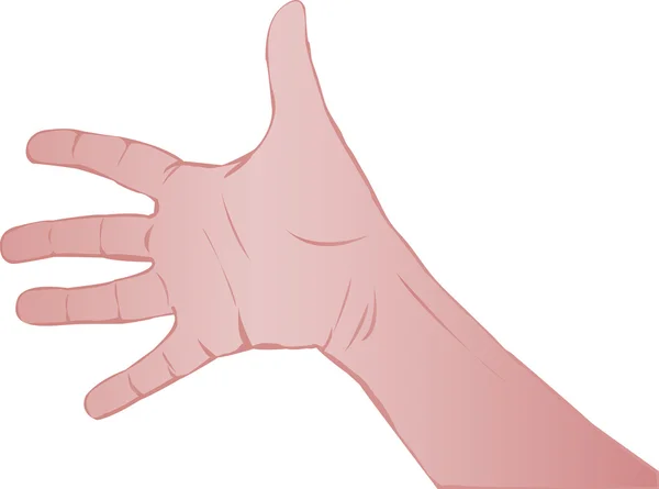 Main de la personne — Image vectorielle