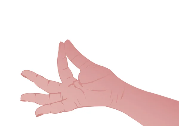 ベクトル イラスト白い背景の上の女性の手 — ストックベクタ