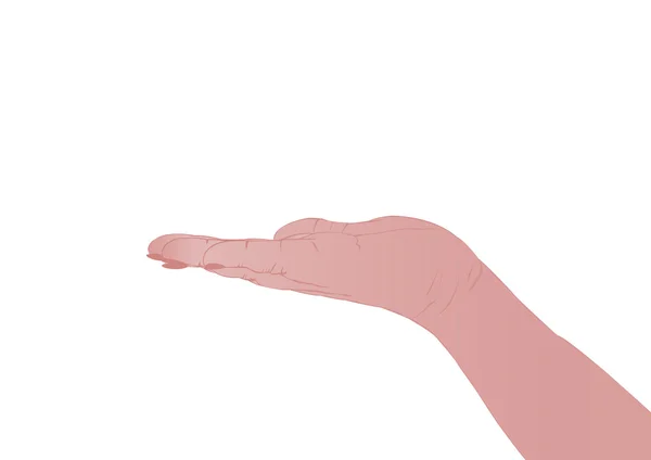 Vector Illustration Female Hand White Background — Stock Vector
