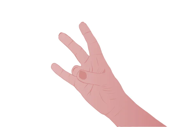 Vectorillustratie Een Vrouwelijke Hand Een Witte Achtergrond — Stockvector