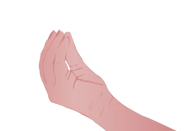 Illustration Vectorielle Une Main Féminine Sur Fond Blanc — Image vectorielle