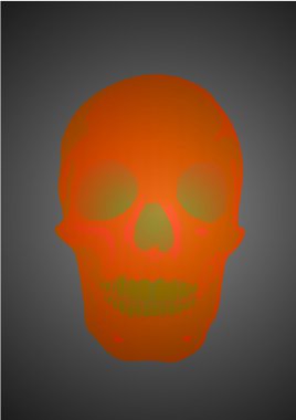 Vector illustration a human skull by a holiday helloween