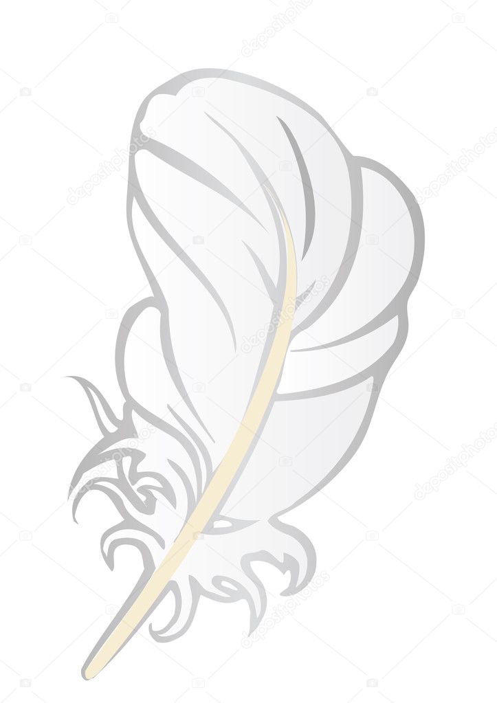Vector illustration a white feather of a bird in the form of the