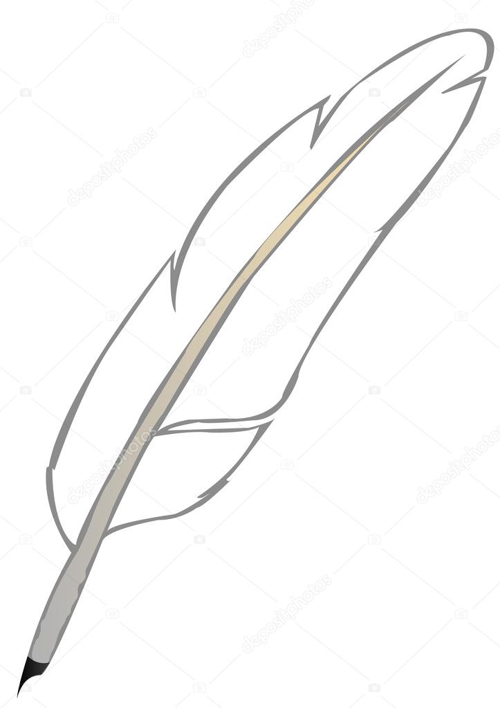 Vector illustration a white feather of a bird in the form of the pen