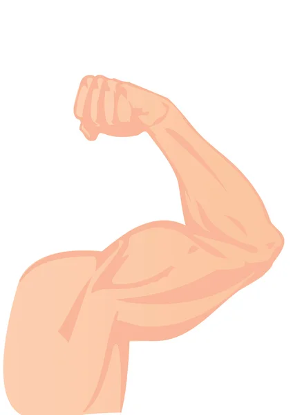 Ilustración vectorial una mano humana y un bíceps — Vector de stock