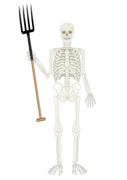 Vetor um esqueleto da pessoa com um garfo de jarra — Vetor de Stock