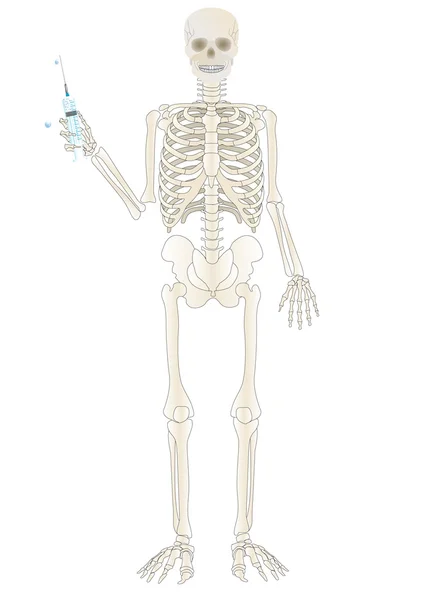 Vector a skeleton of the person with a syringe — Stock Vector