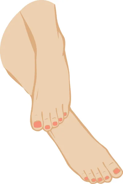 Vectorillustratie van een voet van voeten op een witte achtergrond — Stockvector