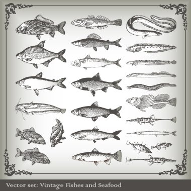 Vector set: fish background clipart