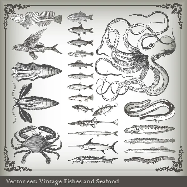 Ensemble vectoriel : fond de poisson — Image vectorielle