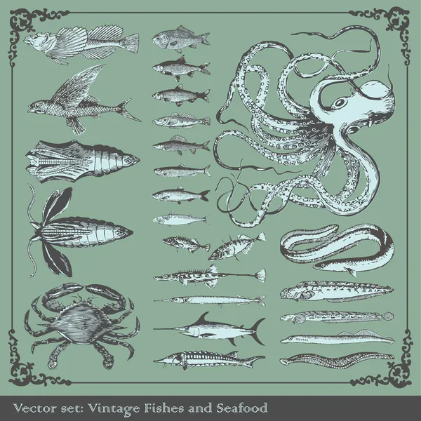 Набор векторов: рыбный фон — стоковый вектор