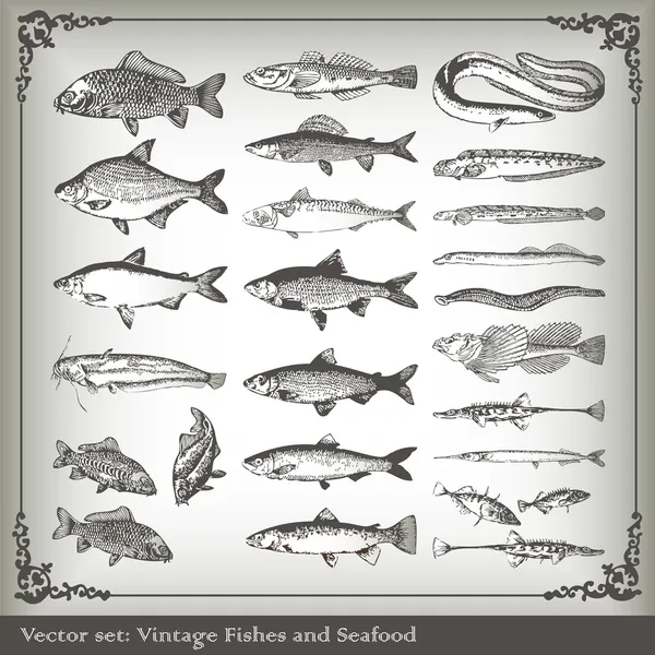 Vektorové sada: ryby pozadí — Stockový vektor