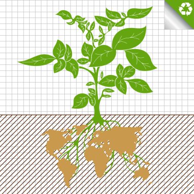 Potato plant bush vector concept background clipart