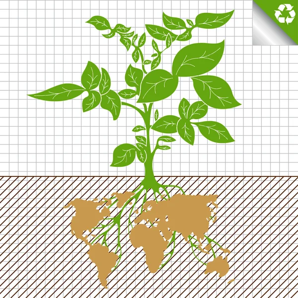 Potato plant bush vector concept background — Stock Vector