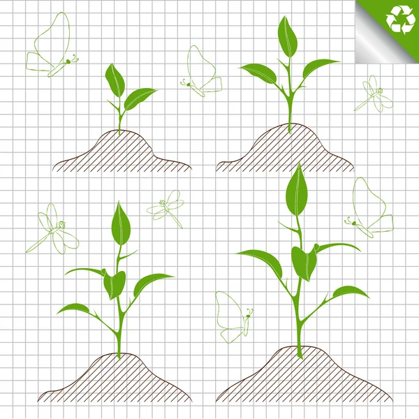 Ramo di germoglio con foglie verdi sfondo vettoriale — Vettoriale Stock