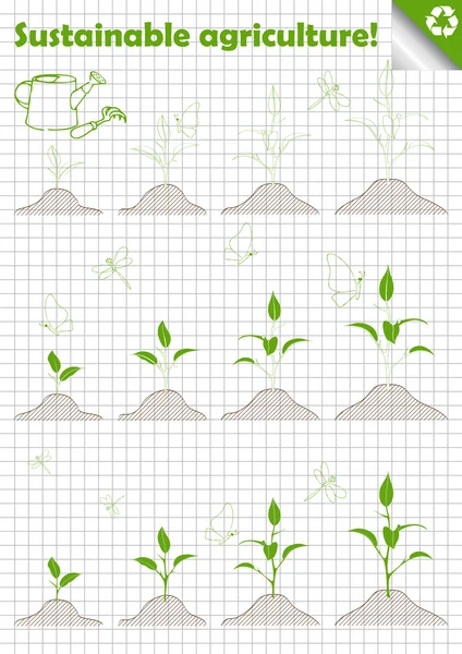 Branch of sprout with green leaves vector background — Stock Vector