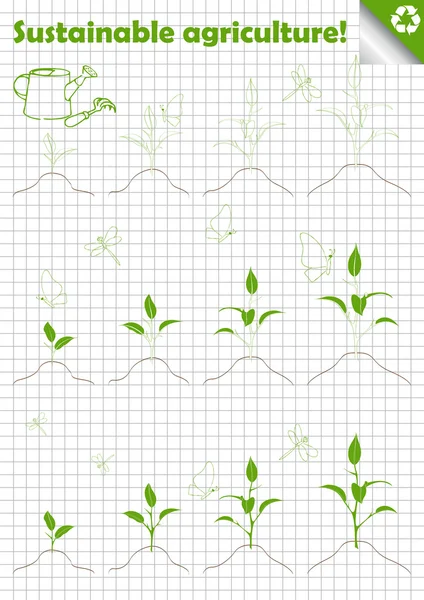 Гілка паростки з зеленим листям Векторний фон — стоковий вектор