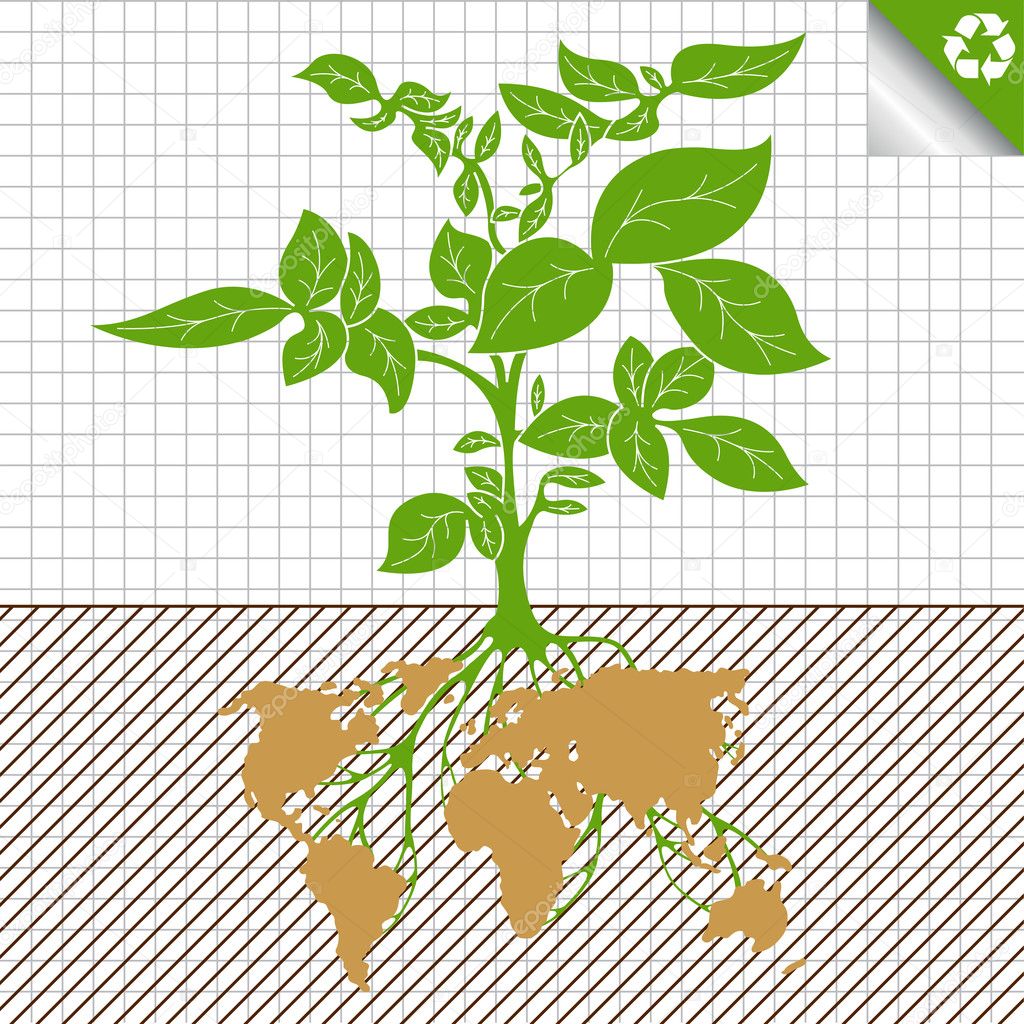 Potato plant bush vector concept background