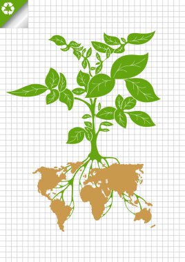 Potato plant bush vector concept background clipart