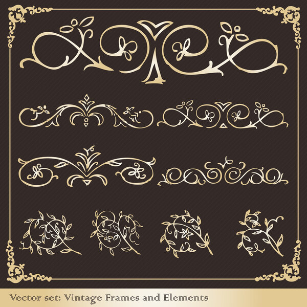 Vintage elements for frame or book cover, card