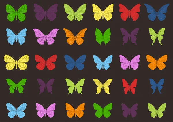 Coloridos vectores de mariposas tropicales — Vector de stock