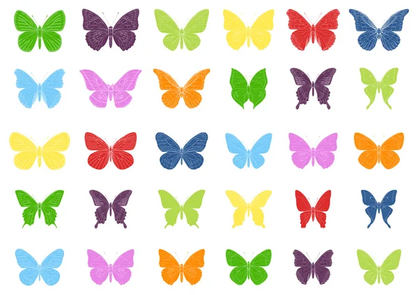 Renkli tropikal kelebekler vektörler — Stok Vektör