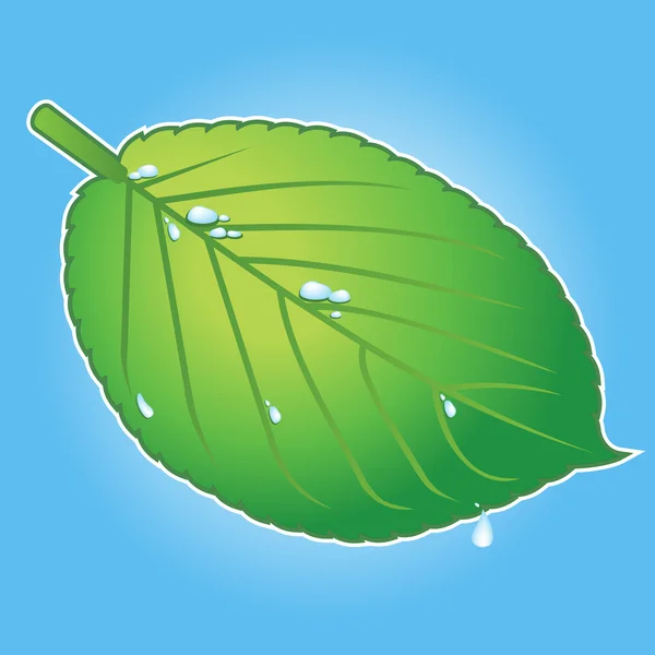 Vektör yeşil yaprak — Stok Vektör