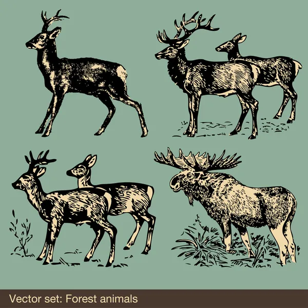 Orman hayvan vektörel çizimler — Stok Vektör
