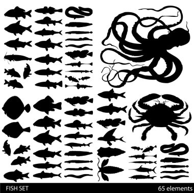 Fish, shells and seafood - variety of detailed vintage illustrations clipart