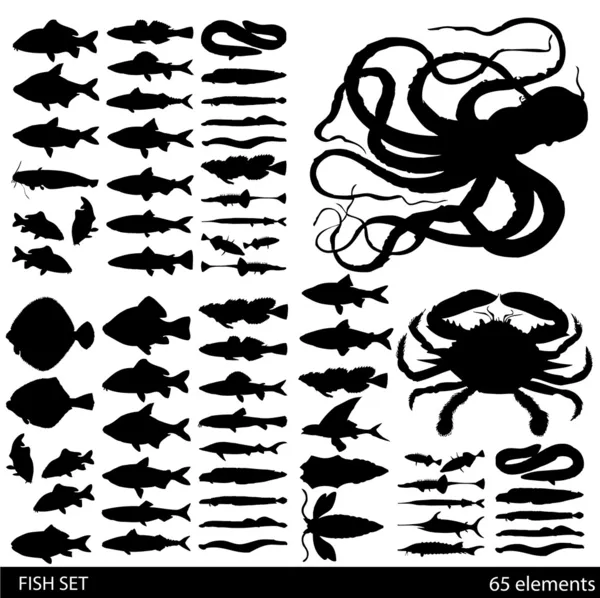 Vis, schelpen en zeevruchten - verscheidenheid van gedetailleerde vintage illustraties — Stockvector