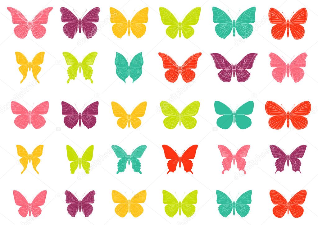Colorful tropiccal butterfly vectors