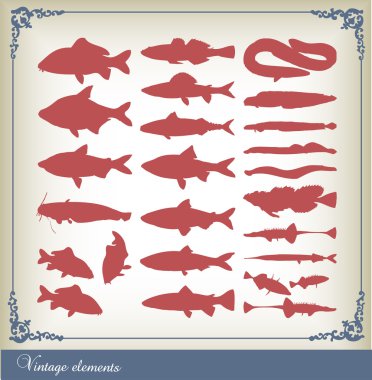 Fish shells and seafood silhouettes clipart