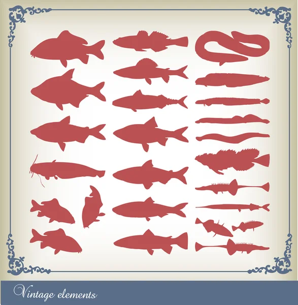 Рибні мушлі та силуети з морепродуктів — стоковий вектор