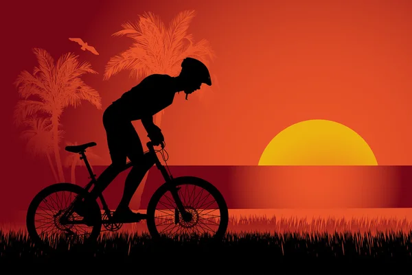 Mountain biker sunset background — Stock Vector