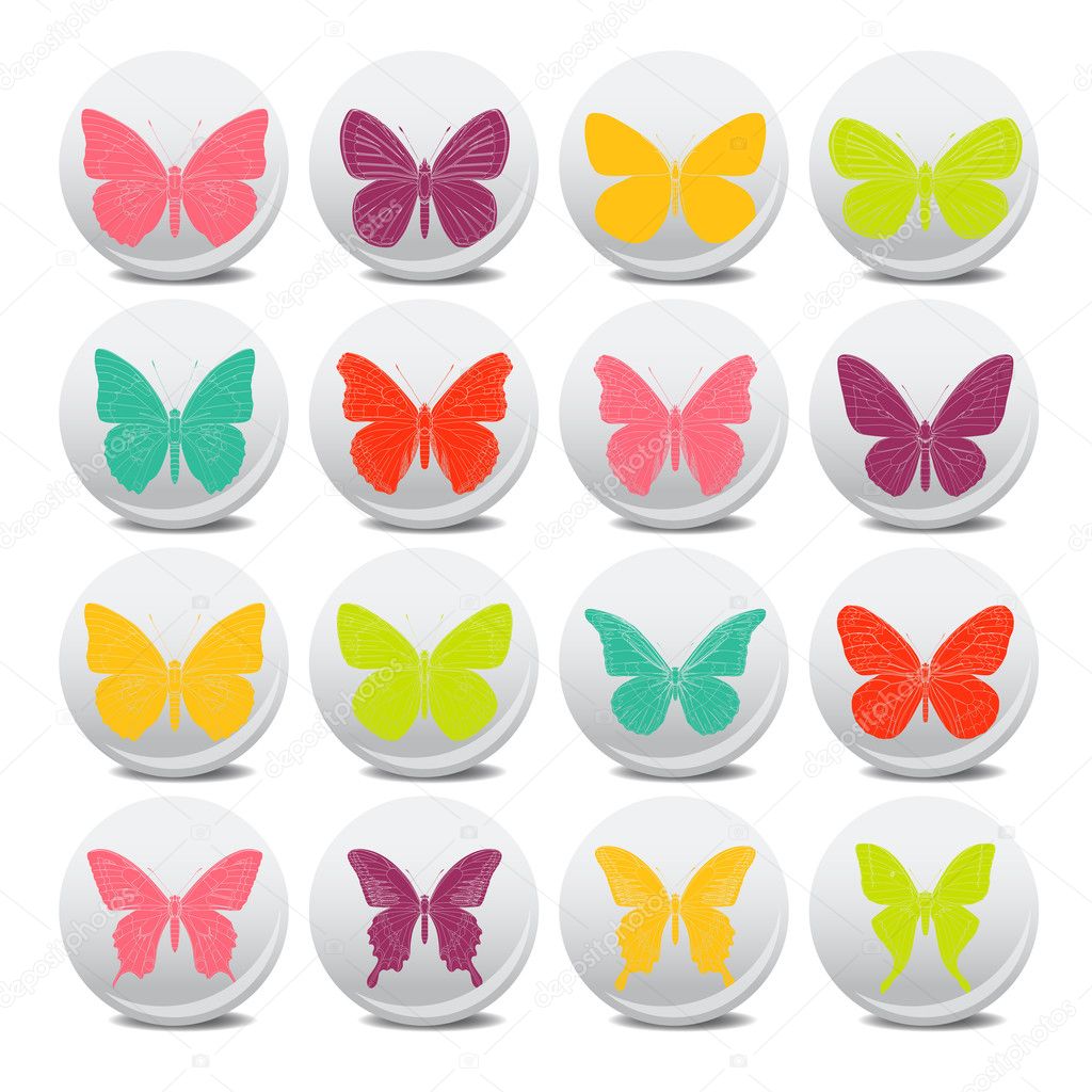 Colorful tropical butterfly icon collection set