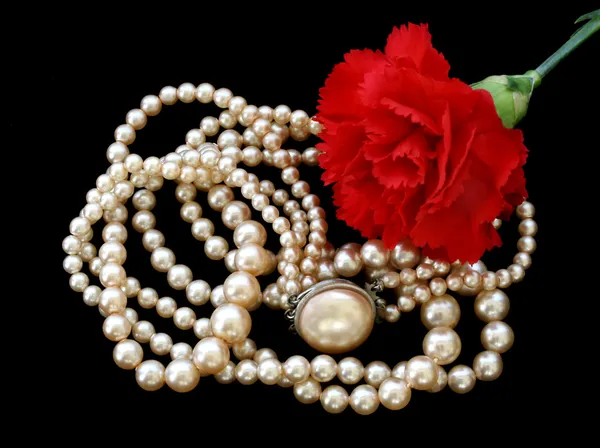 Vintage pearl necklace with red carnation. — Stock Photo, Image