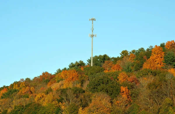 Cell Phone Tower in Fall — Stock Photo, Image