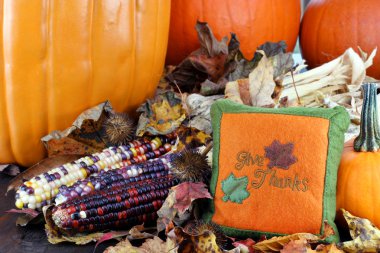 Pumpkins, leaves and Indian corn with a Give Thanks pillow. clipart